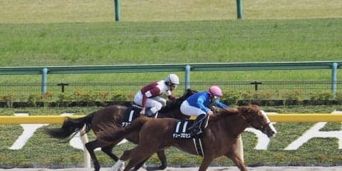 【青竜S】デュープロセスが4連勝を決める！