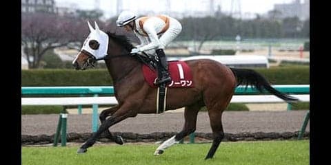 本命・グランアレグリア不在のオークスで、ドラマを起こしそうな２頭