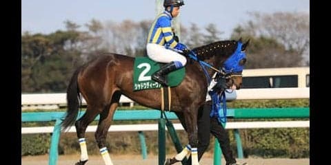 混沌ムードのオークスはデータ重視。過去の激走例にハマる４頭を狙え