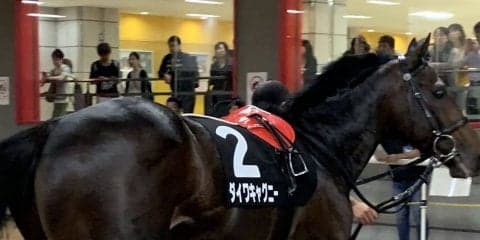 【メイS】東京巧者ダイワキャグニーが久々の勝利！