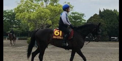 【オークス】シェーングランツ 藤沢和師「距離伸びるのは有利」