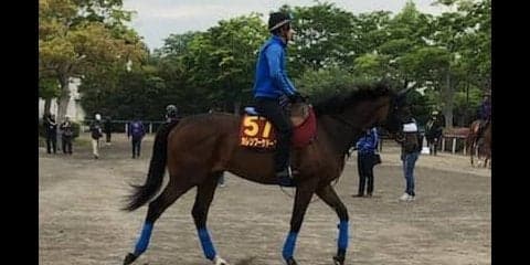 【オークス】カレンブーケドール 国枝師「距離伸びても問題ないと思う」