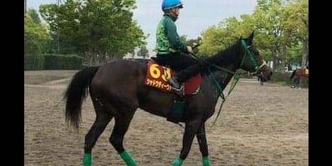 【オークス】シャドウディーヴァ 掲示板を外していない安定性