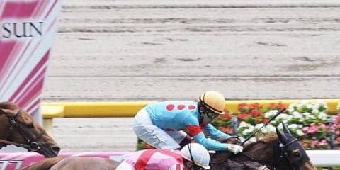 【東京5R】ポルーニンが2連勝！圧倒的人気ヘイワノツカイは4着