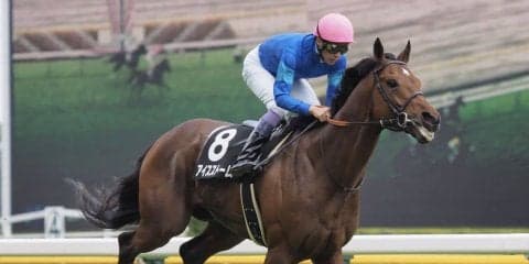 【調布特別】武豊 アイスストームが直線一気の差し切り！