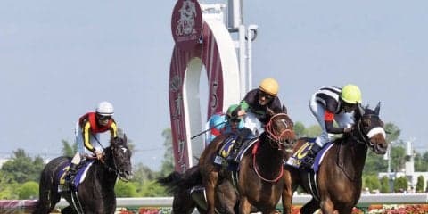 【オークス】ラヴズオンリーユーが無敗でオークス制覇！