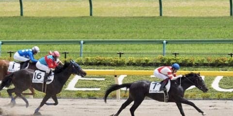 【東京6R】マッスルビーチが2馬身差の快勝！2勝目