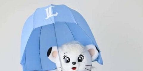 「ヘルメットアンブレラ」でインスタ映え？　西武が「ウーマンフェスタ」を開催