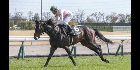 対抗馬は？　ダービーでサートゥルナーリアが負ける条件を探ってみた