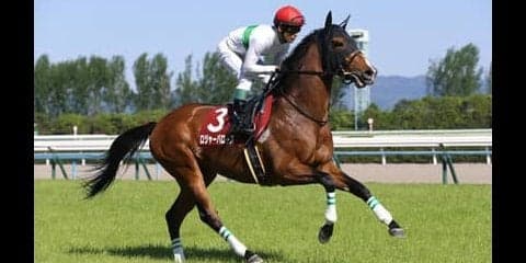 ダービーで激走するタイプは決まっている。過去データにハマる４頭