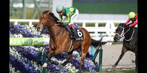 穴党記者も皐月賞馬に白旗宣言。ダービーは馬券に絡める穴馬を狙え