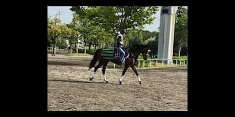 【目黒記念】ブラストワンピース 大竹師「凱旋門賞を考えてのもの」