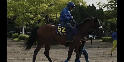 【安田記念1週前】アーモンドアイ ルメール アーモンドアイはパーフェクト」