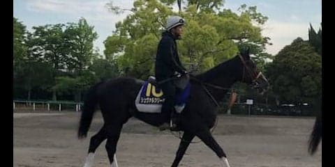【日本ダービー】シュヴァルツリーゼ 東京コースで巻き返し