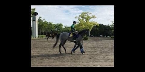 【日本ダービー】エメラルファイト 皐月回避の無念をダービーで晴らす