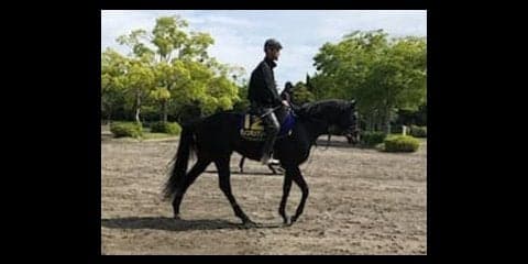 【日本ダービー】ダノンキングリー 戸崎「今年は勝ちたいですね」