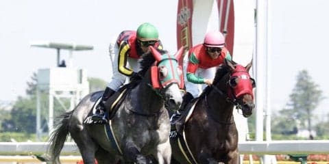 ダービーと同距離 青嵐賞はバレリオが快勝！勝ちタイムは2分23秒5