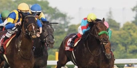 【目黒記念】ブラストワンピース伸び切れず8着…池添「同じ脚色に…」