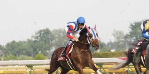 【目黒記念】武豊「突き抜けそうな感じはあったけど…」ムイトオブリガードは5着