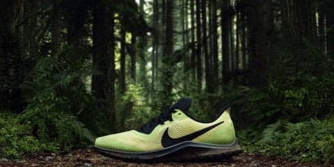 NIKE、新作の“トレラン”シューズ発売。ペガサスシリーズをベースに通気性や耐久性、安定性を強化