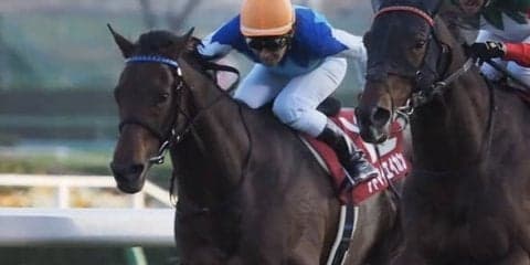 アドマイヤエイカン号が競走馬登録抹消