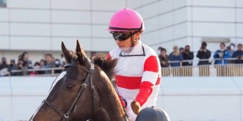 【安田記念】出走馬の調教後の馬体重