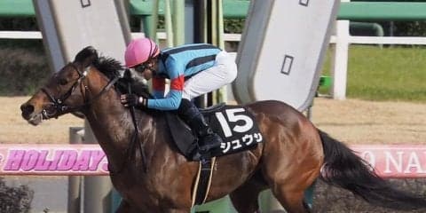 【北海道スプリントC】JRA出走予定馬