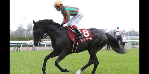 「２強」を悩ます高速馬場。安田記念の穴馬は前の２頭か後ろの２頭か