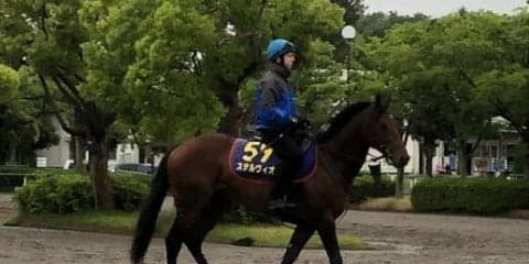 【安田記念】ステルヴィオ マイル戦なら連対100%