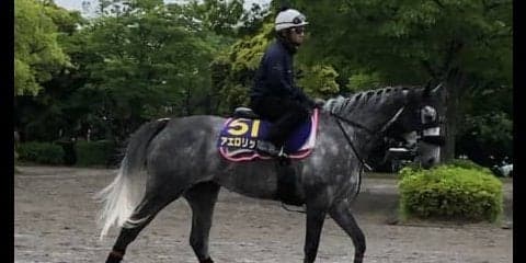 【安田記念】アエロリット 昨年は落鉄で2着