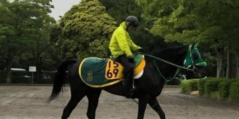 【鳴尾記念】ブラックバゴ 斎藤誠師「阪神コースは合う」