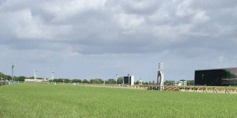 東京競馬場の馬場情報