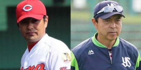 広島サヨナラ勝ちで5月20勝！　燕49年ぶり15連敗…31日セ・リーグは？