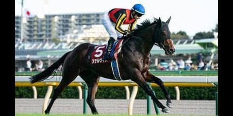 現役最強馬決定戦となる安田記念。馬券的な妙味は「第三の馬」に託せ