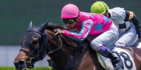 【阪神4R】6番人気 プリモプレミオが初勝利！武豊騎手好調