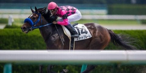 【阪神1R】武豊 スマートフルーレが5馬身差圧勝！圧倒的人気に応える