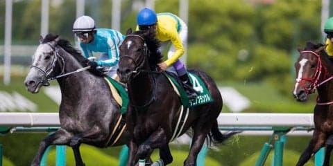 【鳴尾記念】武豊「走りのバランスが…」タニノフランケルは8着に敗れる