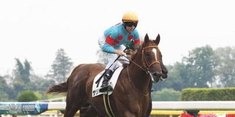 【新馬/東京5R】サリオスが直線一気の末脚発揮！デビューV