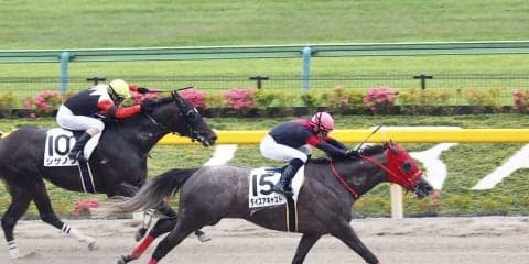 【東京7R】ダイスアキャストが圧倒的人気に応える