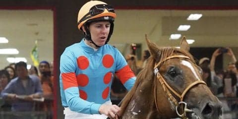 日曜東京５Ｒ新馬はサリオスがレイデオロの半弟・アブソルティスモを破る