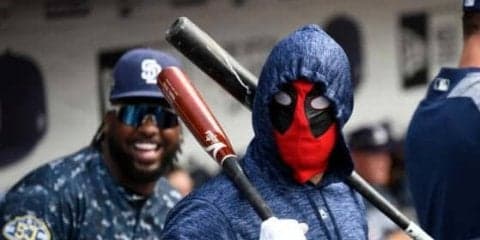 【MLB】蜂の大量発生で試合中断のハプニング　選手はデッドプール姿で“臨戦態勢”!?