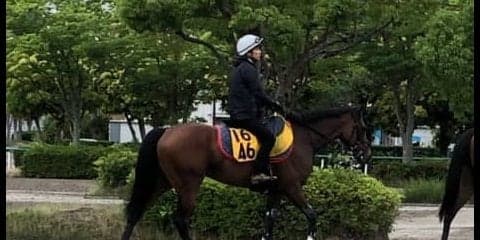 【マーメイドS】フローレスマジック  木村師「距離伸びても大丈夫」