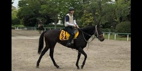 【マーメイドS】レーツェル 51キロで出番あり！