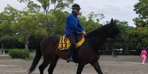 【エプソムC】プロディガルサン 3戦連続2着の安定感