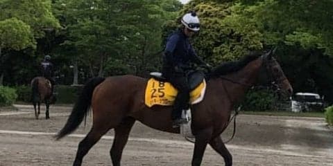 【エプソムC】ミッキースワロー 別定56キロなら力上位