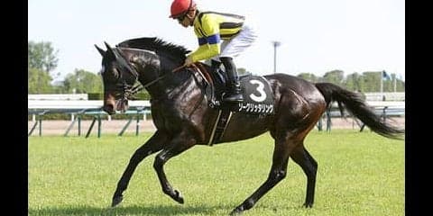 堅いエプソムＣも今年は荒れる。波乱続きの東京開催でこそ狙える４頭