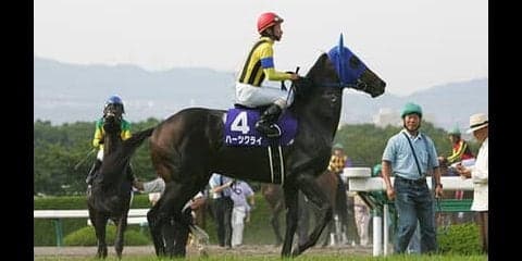 「脚もとに不安はない」シルヴェリオ。兄姉が果たせなかった夢に挑む