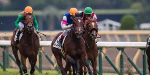 【新馬/東京5R】ワーケアが断然の人気に応えて圧勝！