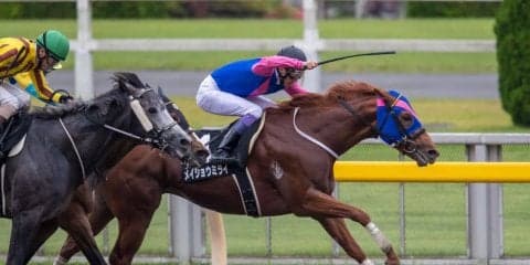 【小金井特別】武豊 メイショウミライがハナ差の接戦を制する