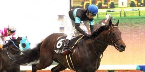 【江の島特別】54キロ アントリューズが突き抜ける